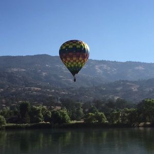 Meet your Posher, Shelly